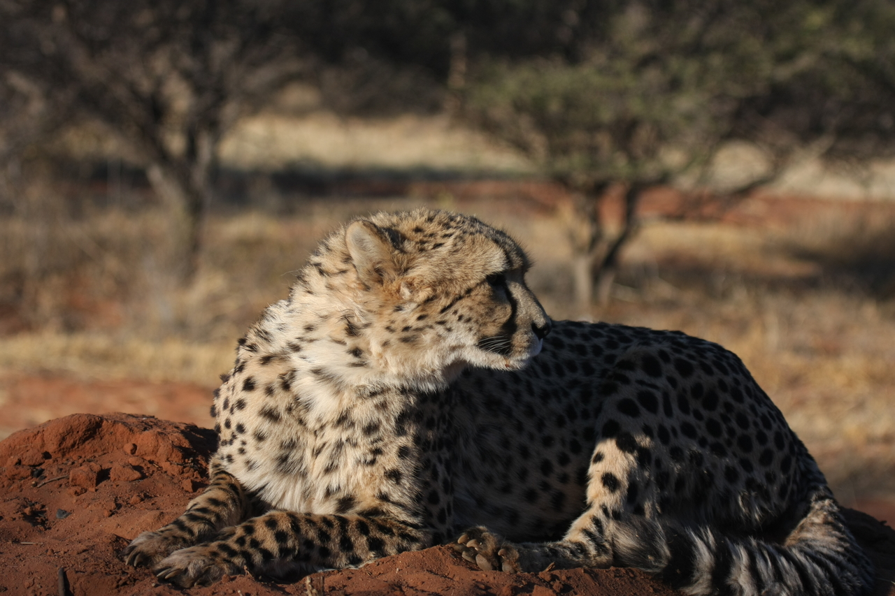 [7075] 2016_06_23_11_13_23_Africa_Canon_EOS_40D_IMG__08865.jpg