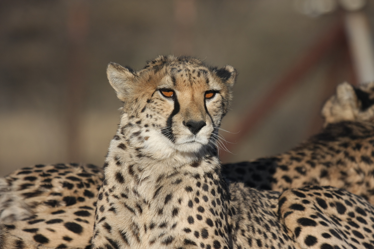 [7141] 2016_06_23_11_19_53_Africa_Canon_EOS_40D_IMG__08875.jpg