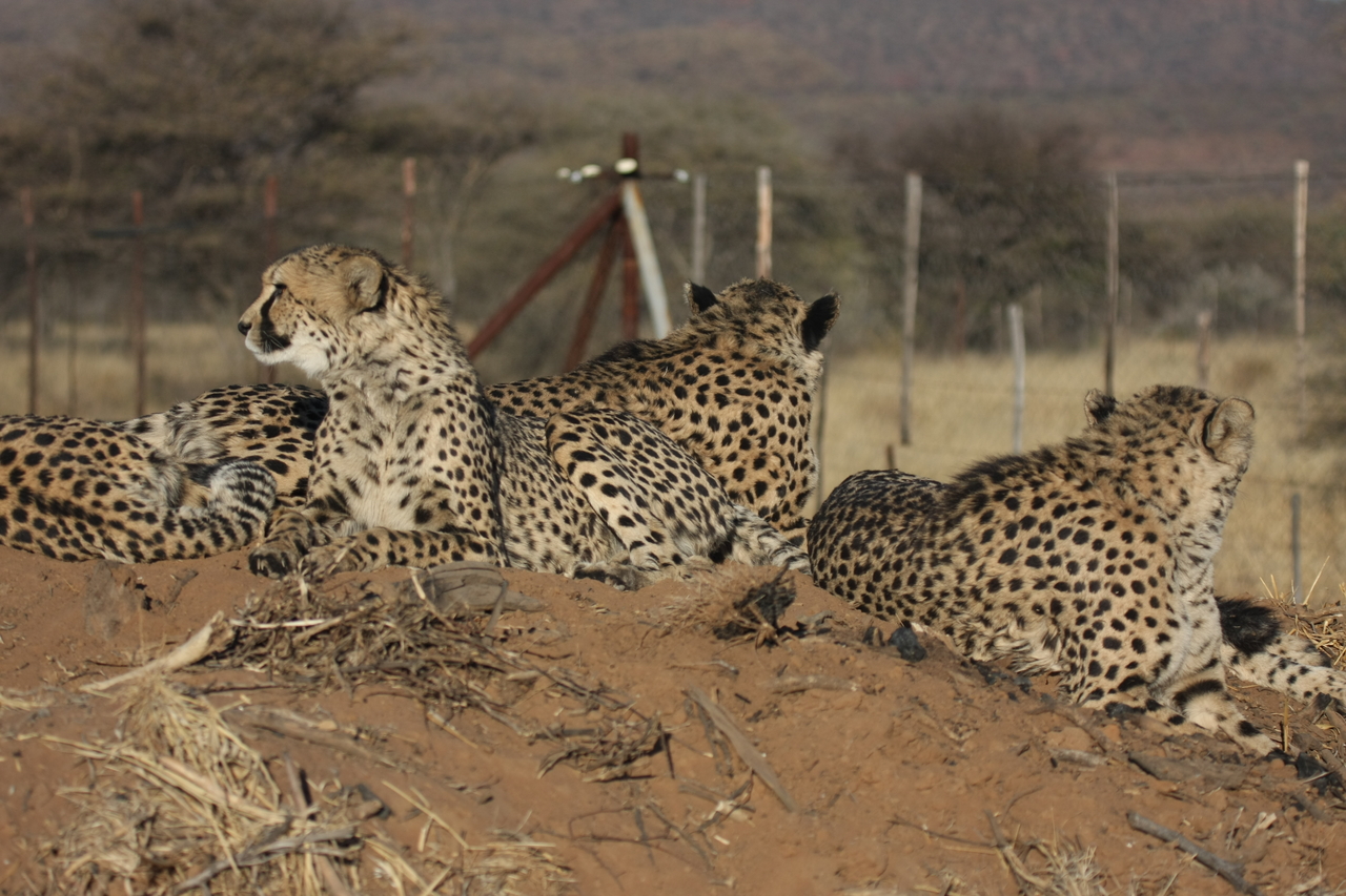 [7173] 2016_06_23_11_20_41_Africa_Canon_EOS_40D_IMG__08883.jpg