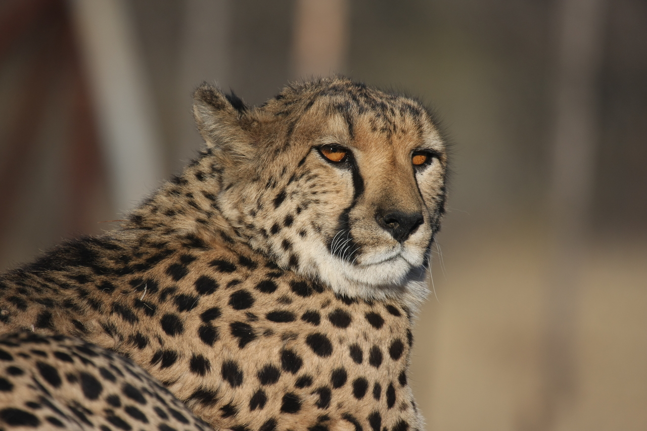 [7182] 2016_06_23_11_21_03_Africa_Canon_EOS_40D_IMG__01440.jpg
