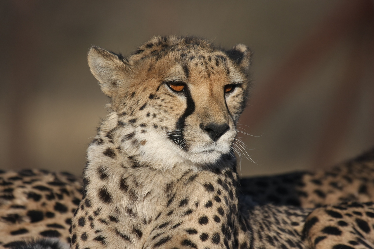 [7188] 2016_06_23_11_21_09_Africa_Canon_EOS_40D_IMG__00609.jpg