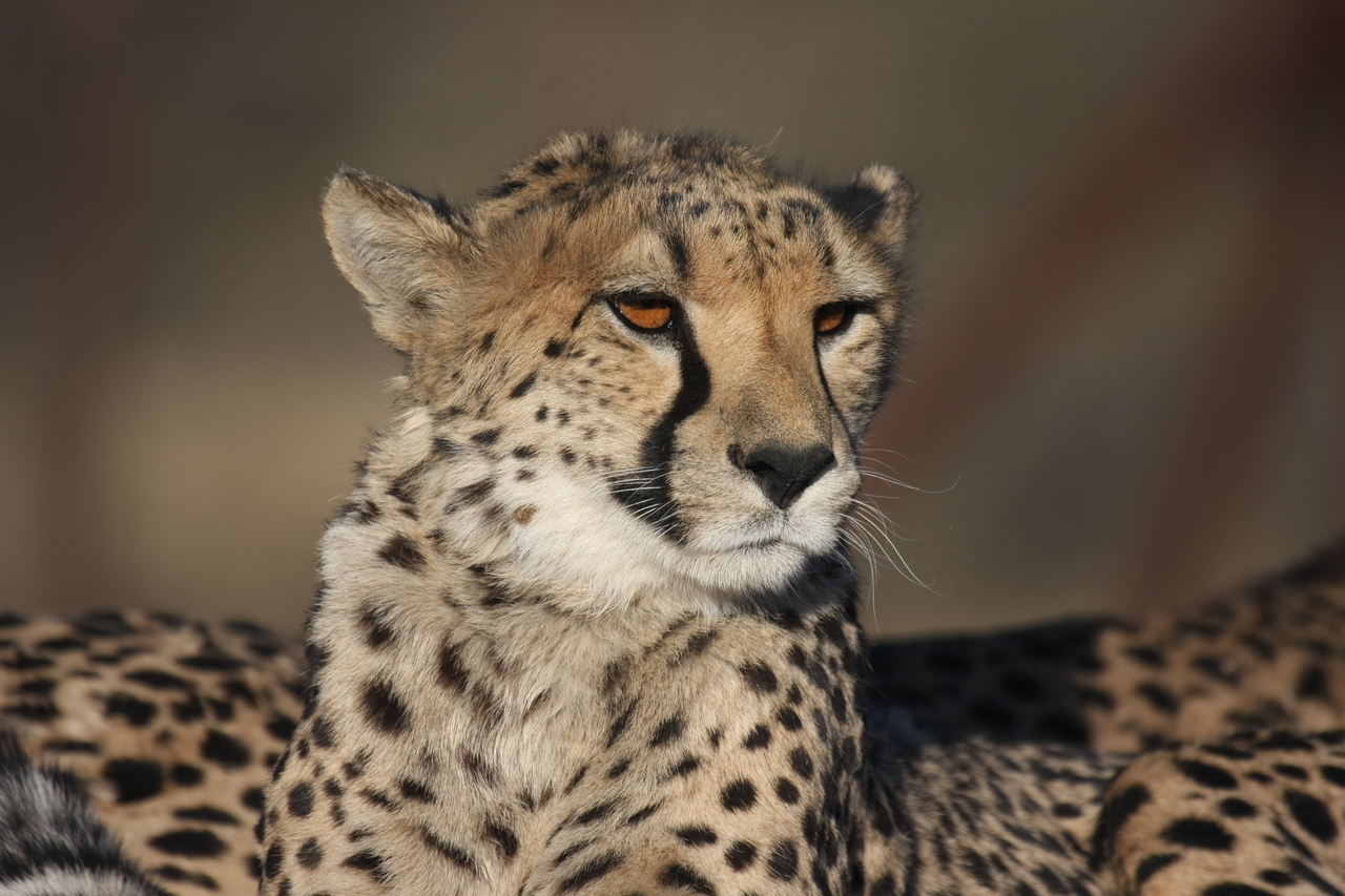 [7195] 2016_06_23_11_21_09_Africa_Canon_EOS_40D_IMG__08891.jpg
