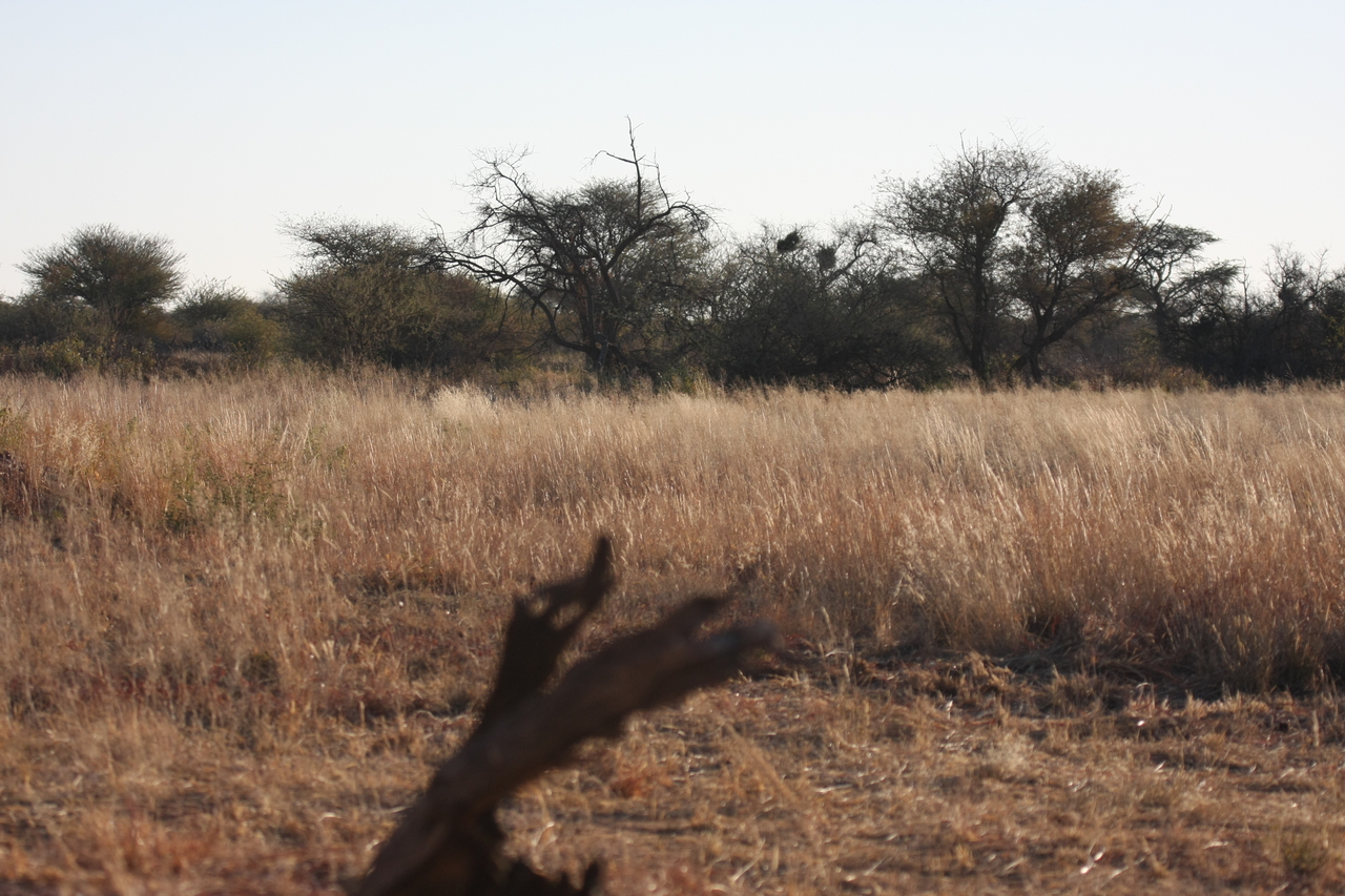 [7216] 2016_06_23_11_33_18_Africa_Canon_EOS_40D_IMG__01450.jpg