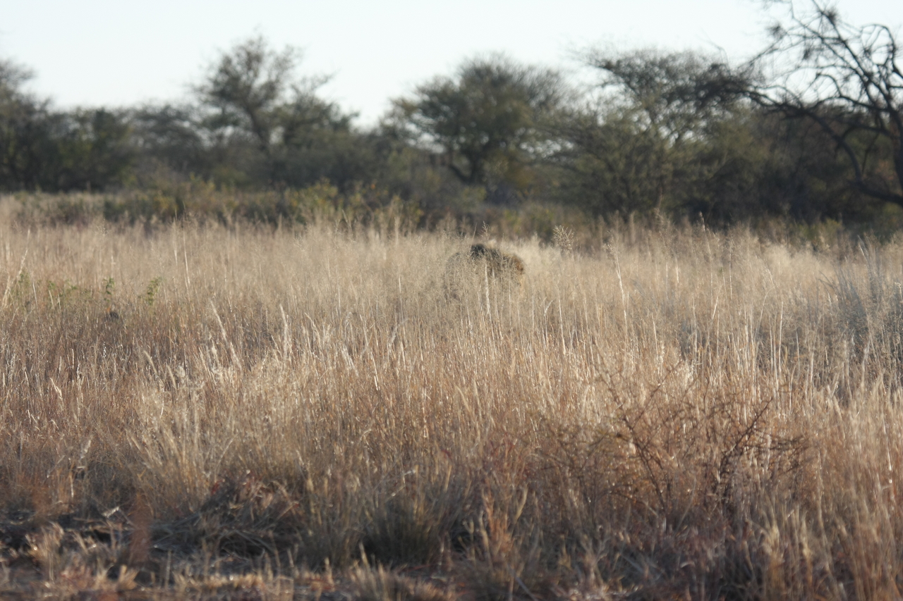 [7268] 2016_06_23_11_39_08_Africa_Canon_EOS_40D_IMG__08914.jpg