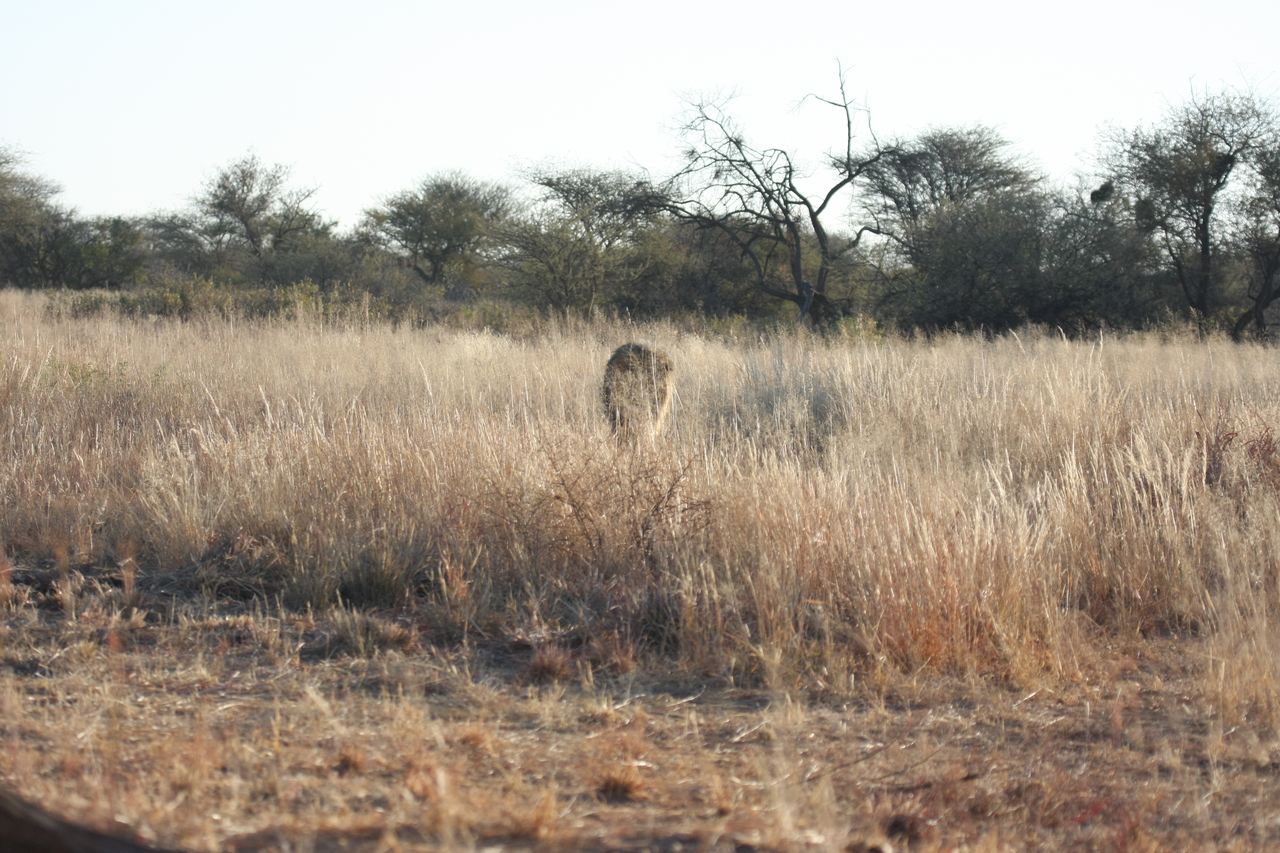 [7275] 2016_06_23_11_39_12_Africa_Canon_EOS_40D_IMG__00636.jpg