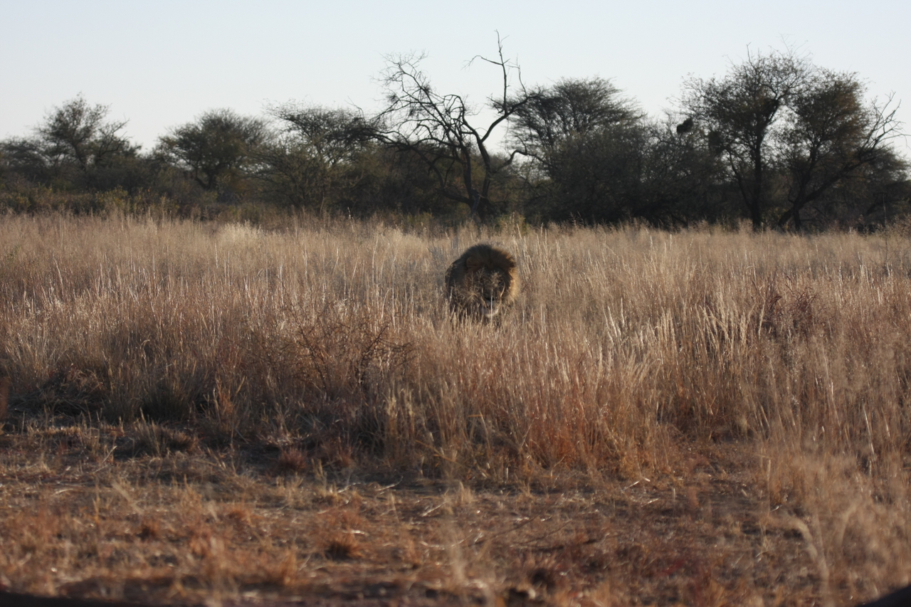 [7282] 2016_06_23_11_39_16_Africa_Canon_EOS_40D_IMG__00639.jpg