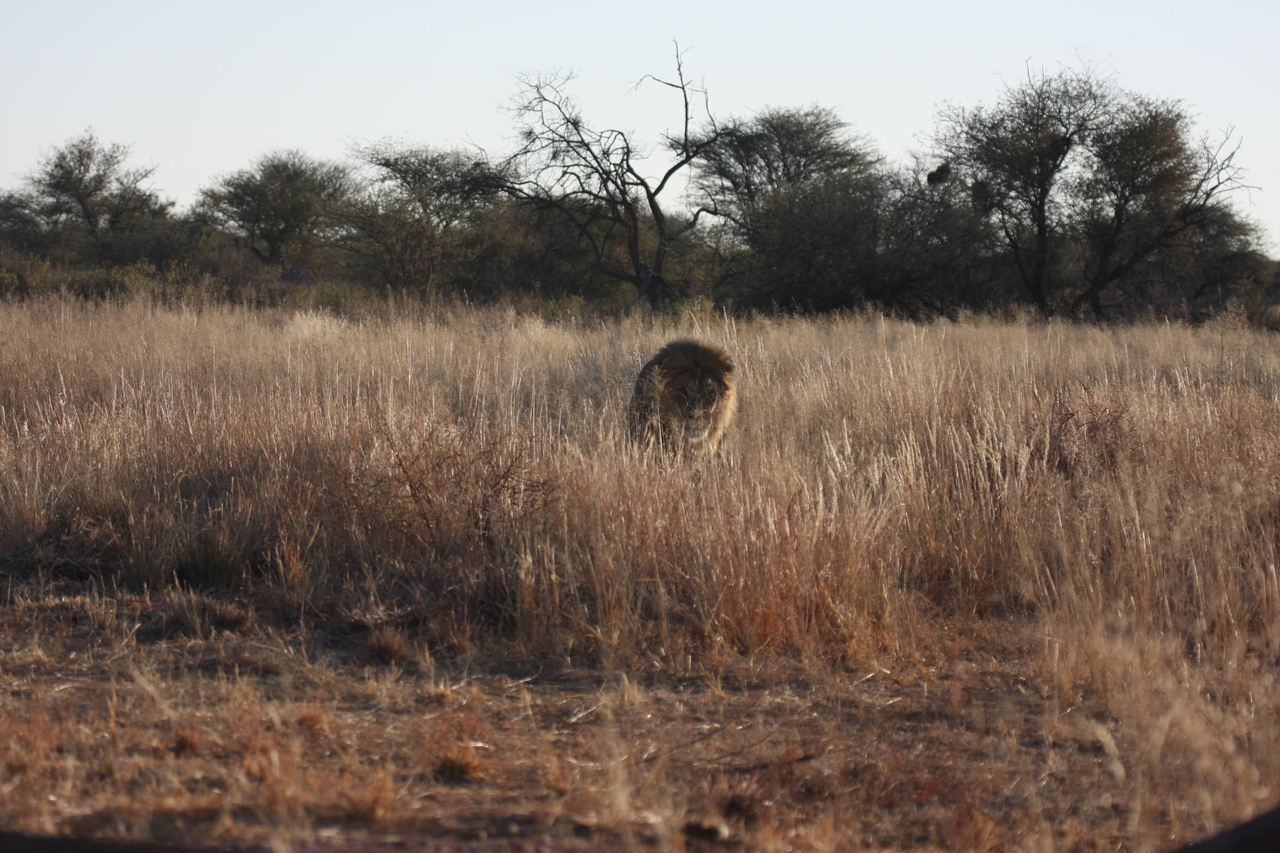 [7286] 2016_06_23_11_39_16_Africa_Canon_EOS_40D_IMG__01474.jpg