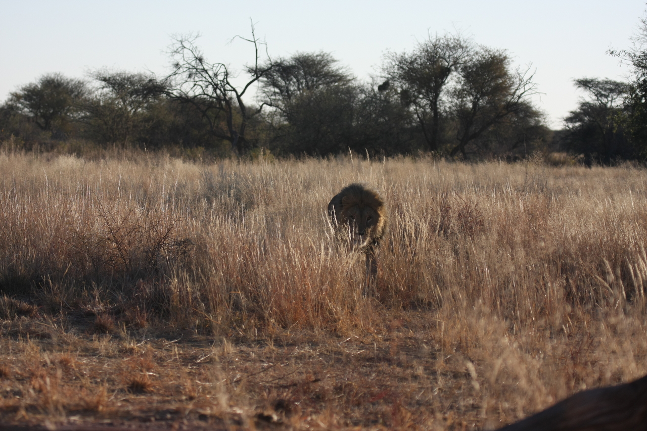 [7297] 2016_06_23_11_39_18_Africa_Canon_EOS_40D_IMG__01477.jpg
