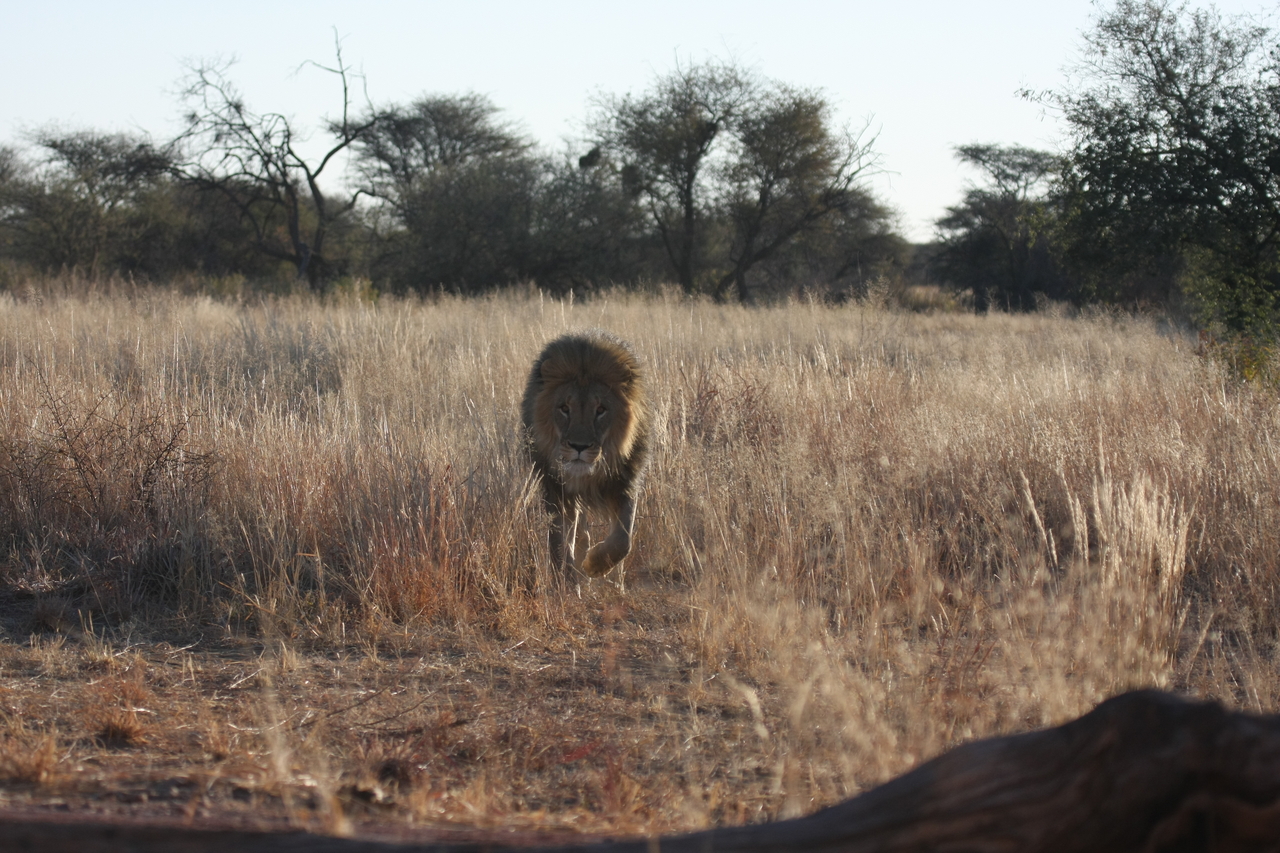 [7305] 2016_06_23_11_39_20_Africa_Canon_EOS_40D_IMG__08925.jpg
