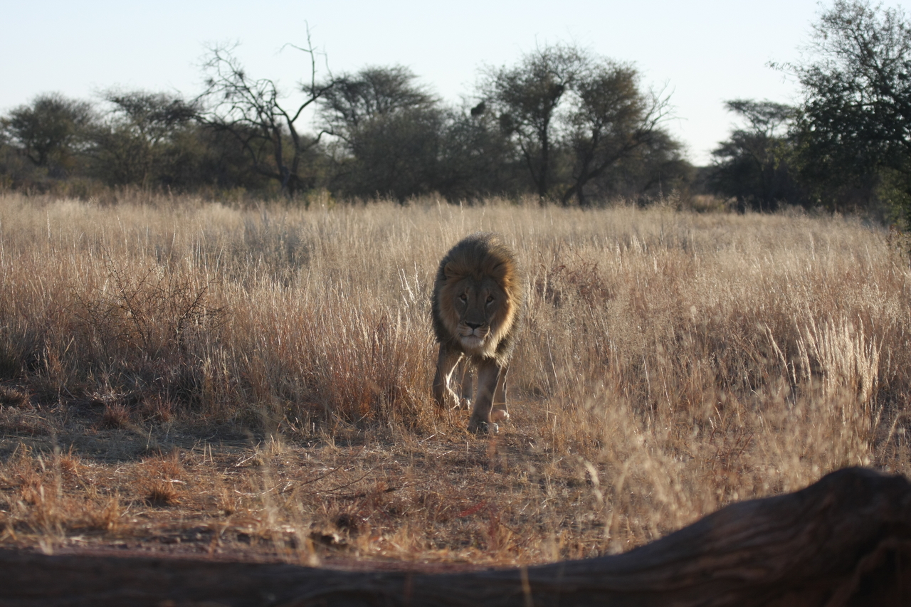 [7311] 2016_06_23_11_39_21_Africa_Canon_EOS_40D_IMG__01482.jpg