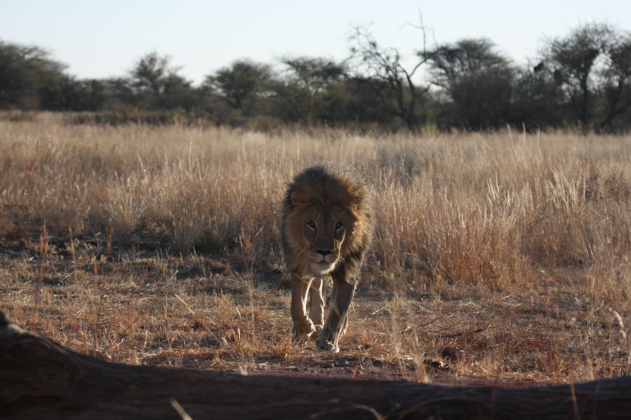 [7330] 2016_06_23_11_39_24_Africa_Canon_EOS_40D_IMG__01488.jpg