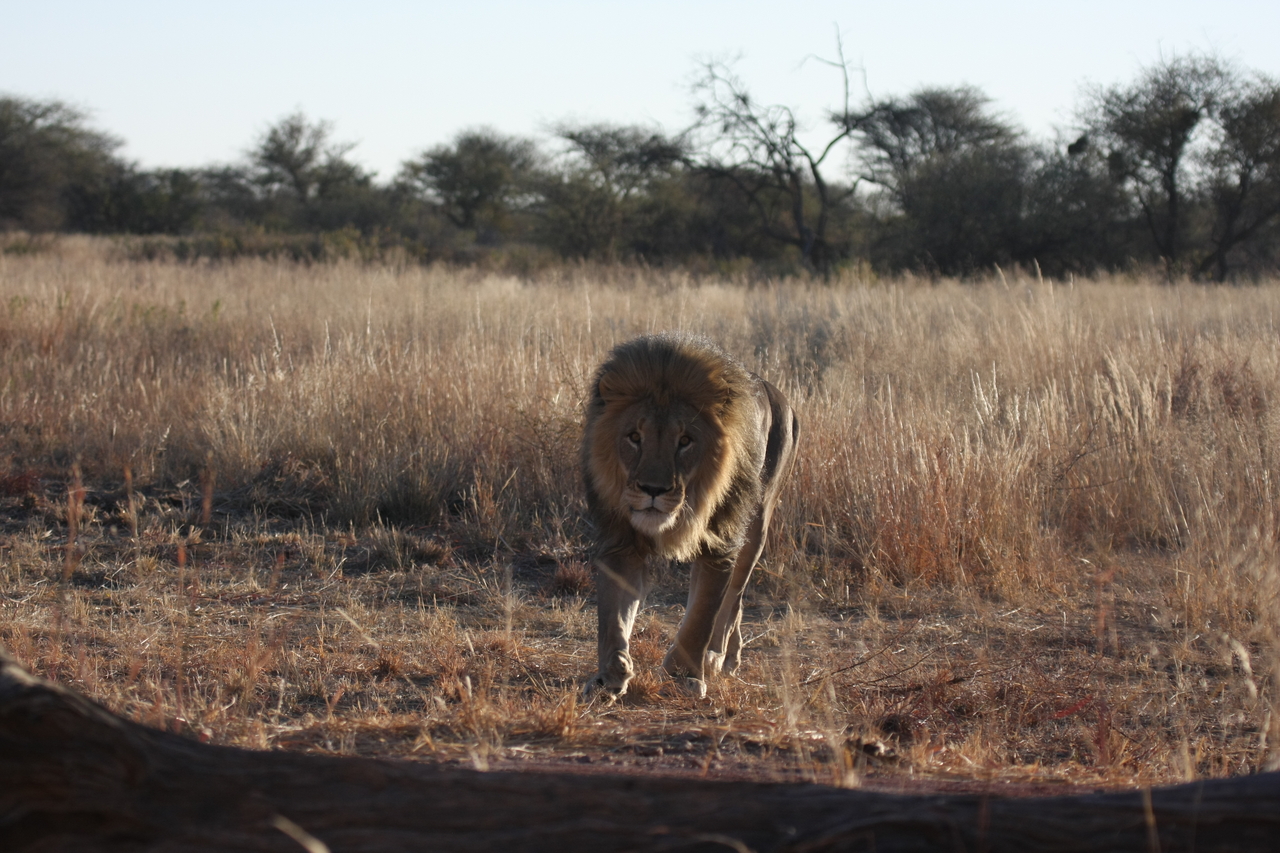 [7332] 2016_06_23_11_39_24_Africa_Canon_EOS_40D_IMG__08934.jpg