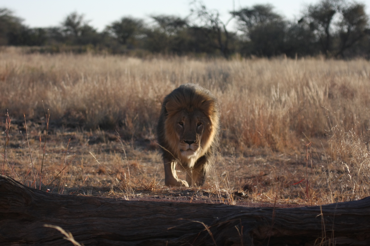 [7335] 2016_06_23_11_39_25_Africa_Canon_EOS_40D_IMG__00656.jpg