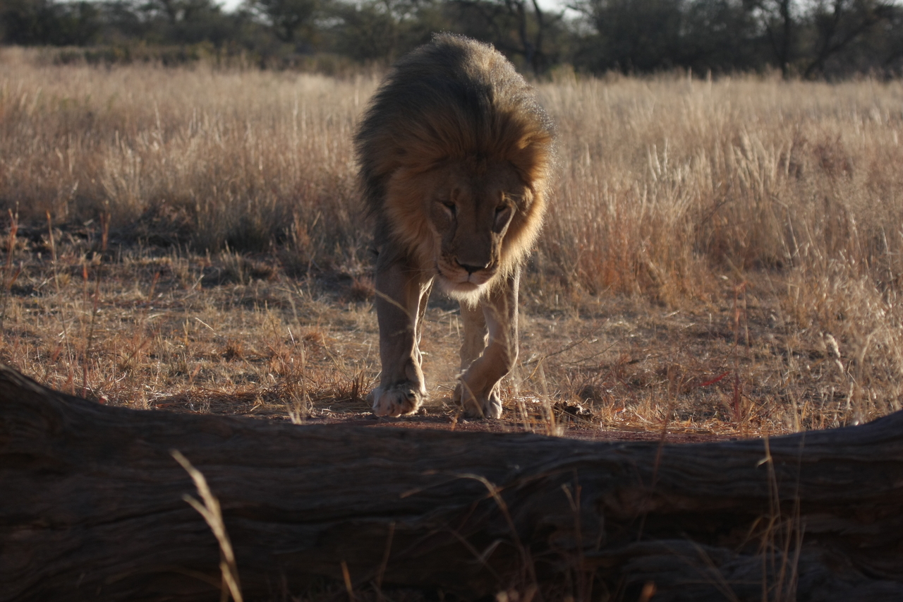 [7337] 2016_06_23_11_39_25_Africa_Canon_EOS_40D_IMG__00658.jpg