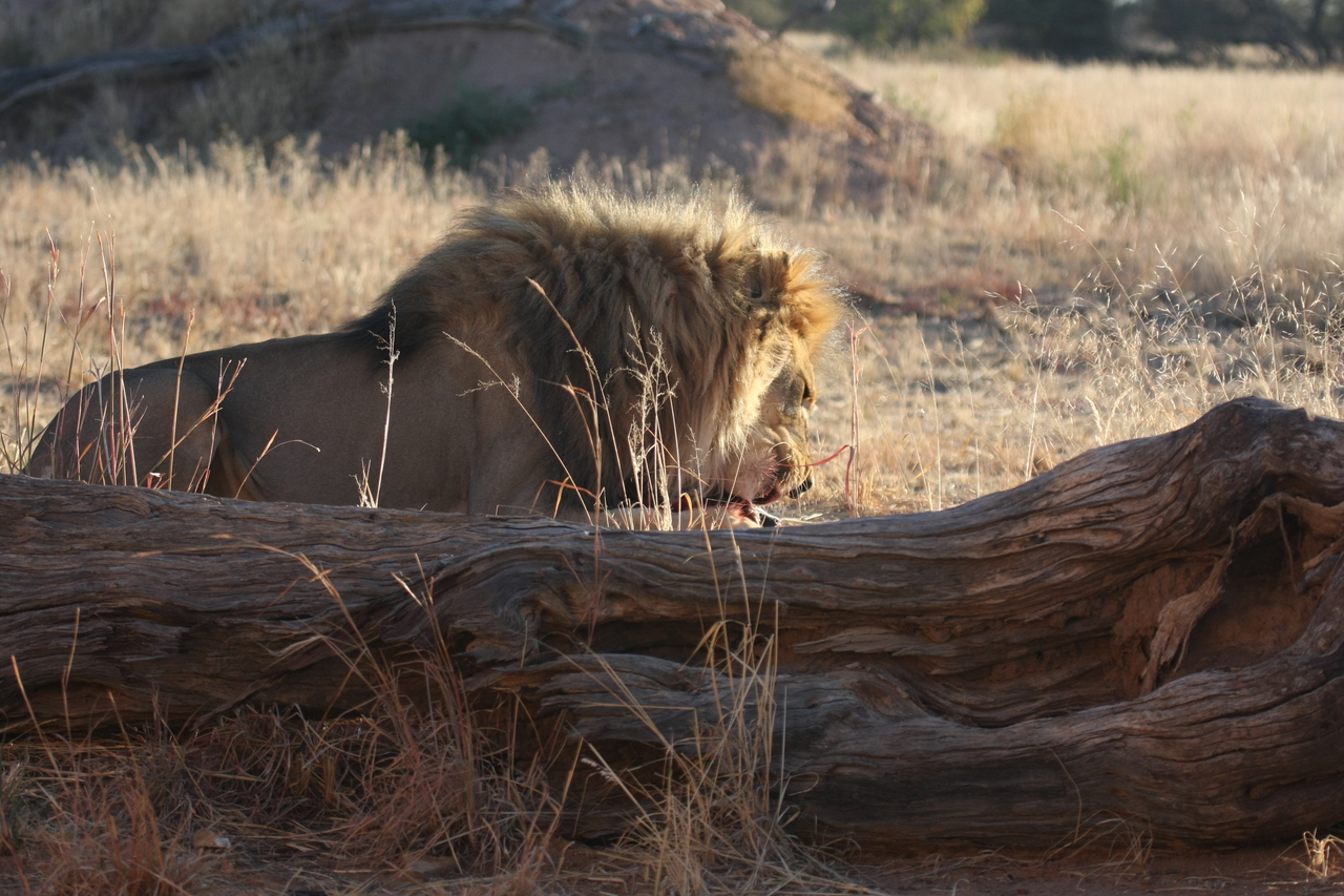 [7373] 2016_06_23_11_39_51_Africa_Canon_EOS_40D_IMG__01503.jpg