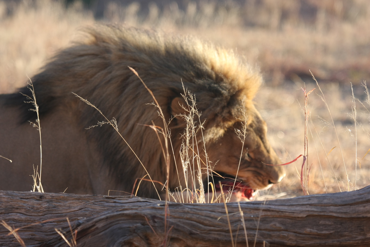 [7384] 2016_06_23_11_40_09_Africa_Canon_EOS_40D_IMG__00673.jpg