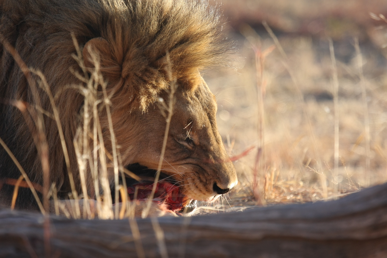 [7408] 2016_06_23_11_40_20_Africa_Canon_EOS_40D_IMG__00679.jpg