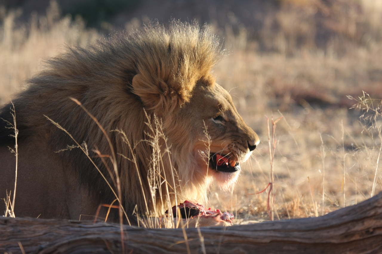 [7454] 2016_06_23_11_40_49_Africa_Canon_EOS_40D_IMG__00695.jpg