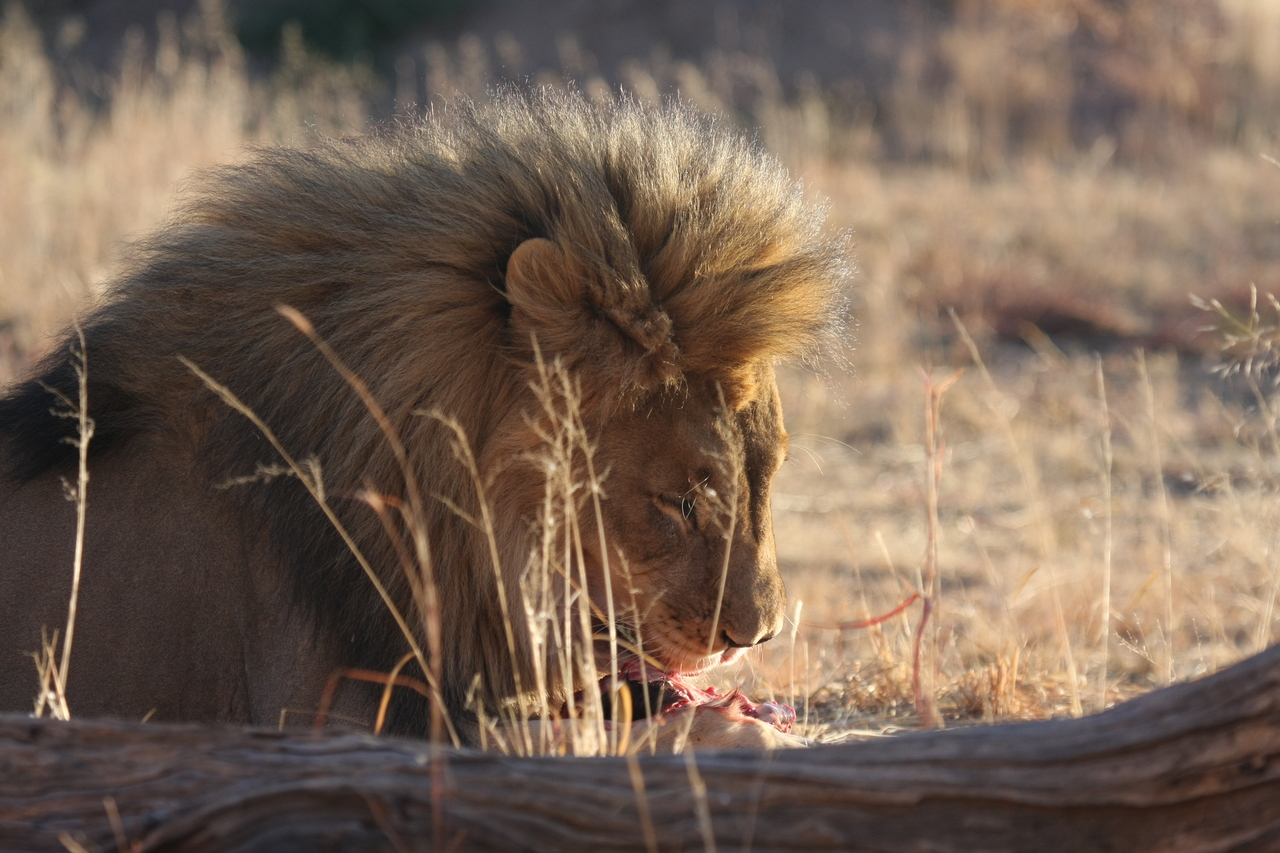 [7467] 2016_06_23_11_40_51_Africa_Canon_EOS_40D_IMG__00700.jpg