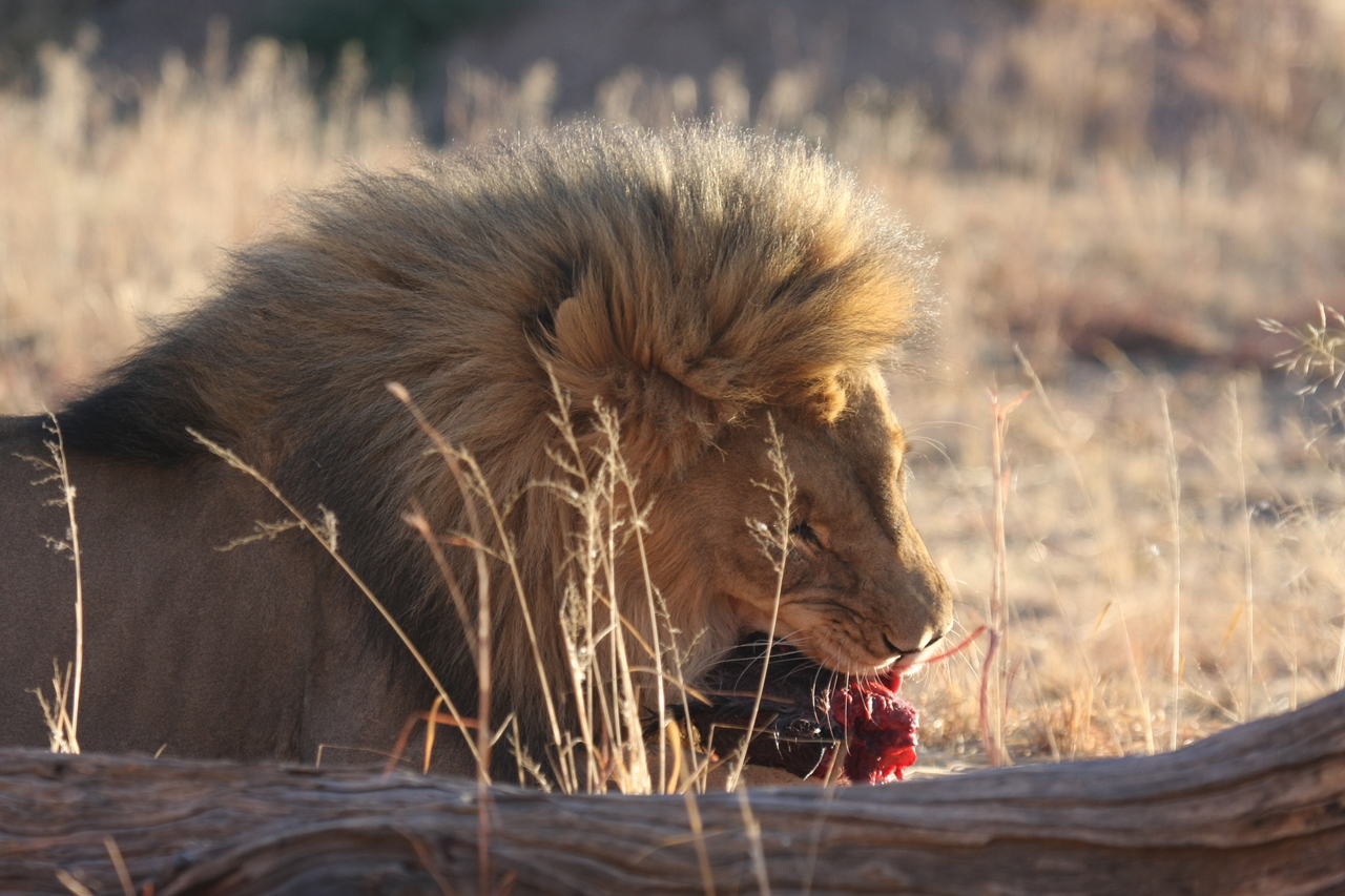 [7489] 2016_06_23_11_41_00_Africa_Canon_EOS_40D_IMG__01539.jpg