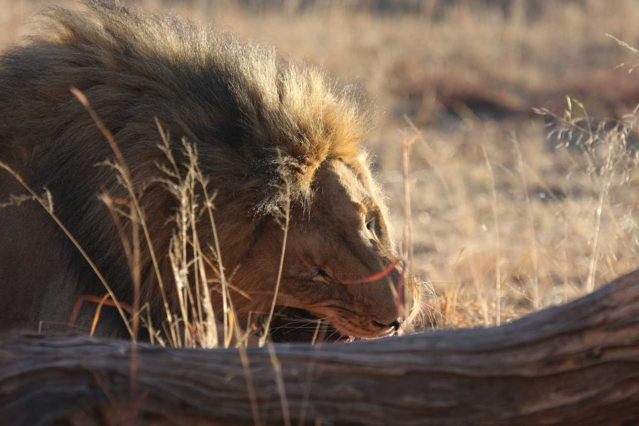 [7564] 2016_06_23_11_42_19_Africa_Canon_EOS_40D_IMG__00729.jpg