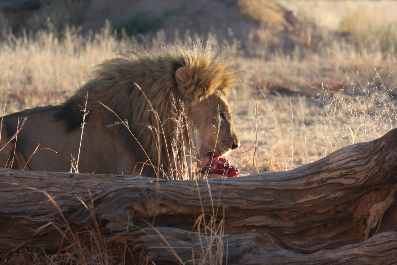 [7582] 2016_06_23_11_42_46_Africa_Canon_EOS_40D_IMG__00735.jpg