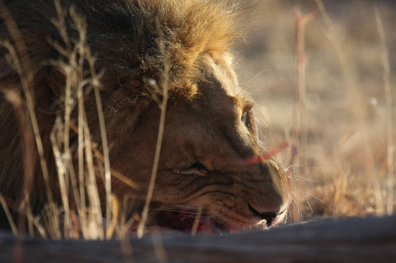 [7625] 2016_06_23_11_43_17_Africa_Canon_EOS_40D_IMG__09029.jpg