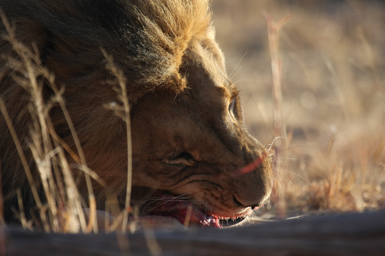 [7653] 2016_06_23_11_43_28_Africa_Canon_EOS_40D_IMG__01049.jpg