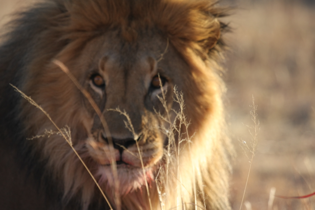 [7682] 2016_06_23_11_43_35_Africa_Canon_EOS_40D_IMG__01632.jpg