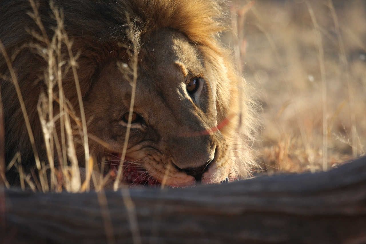 [7742] 2016_06_23_11_44_26_Africa_Canon_EOS_40D_IMG__01854.jpg