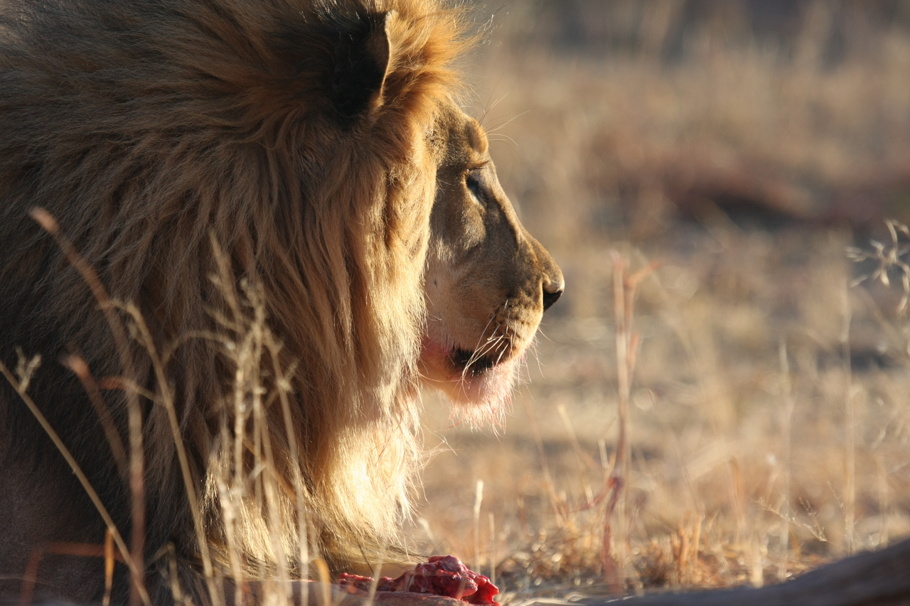[7751] 2016_06_23_11_45_09_Africa_Canon_EOS_40D_IMG__01025.jpg