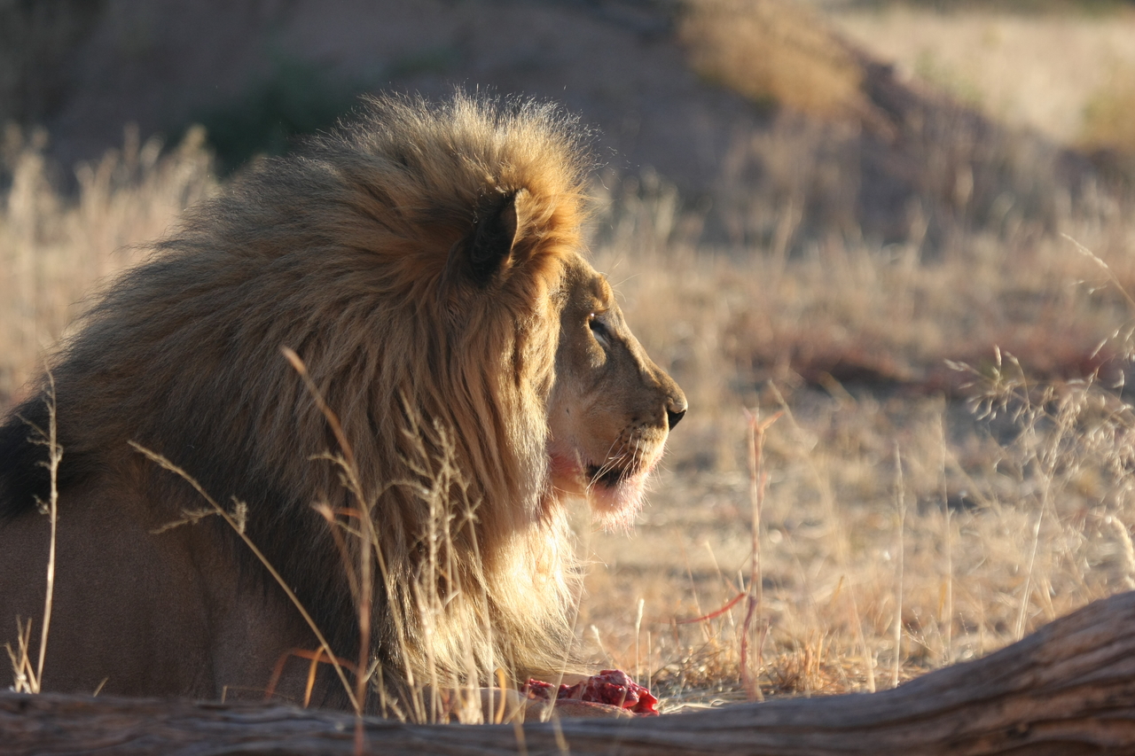 [7772] 2016_06_23_11_45_15_Africa_Canon_EOS_40D_IMG__01866.jpg