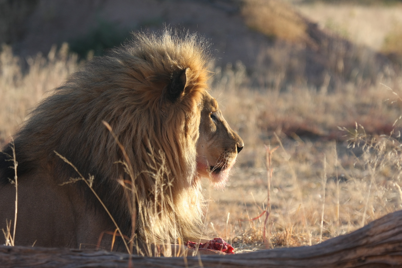 [7773] 2016_06_23_11_45_15_Africa_Canon_EOS_40D_IMG__01867.jpg