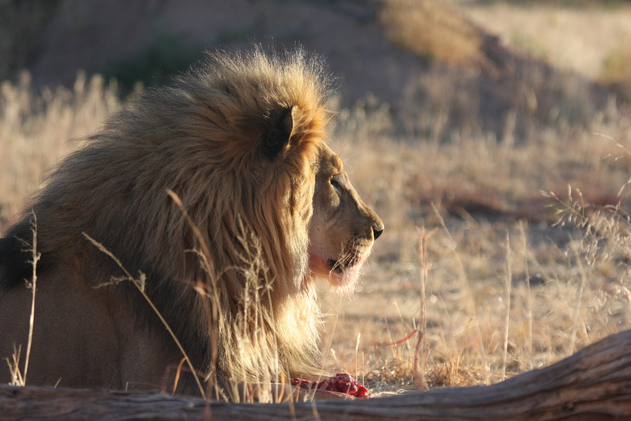 [7774] 2016_06_23_11_45_15_Africa_Canon_EOS_40D_IMG__01868.jpg