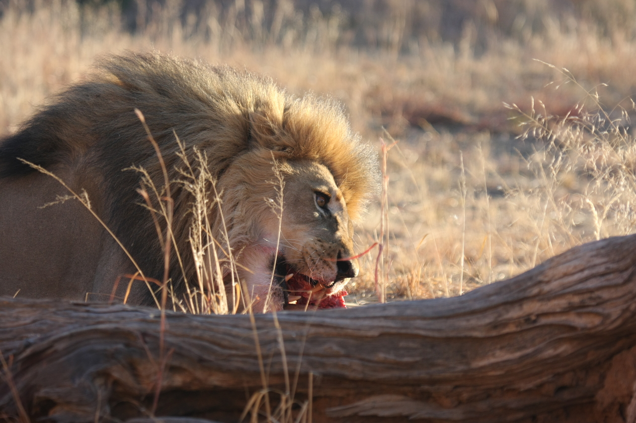[7787] 2016_06_23_11_45_50_Africa_Canon_EOS_40D_IMG__01873.jpg