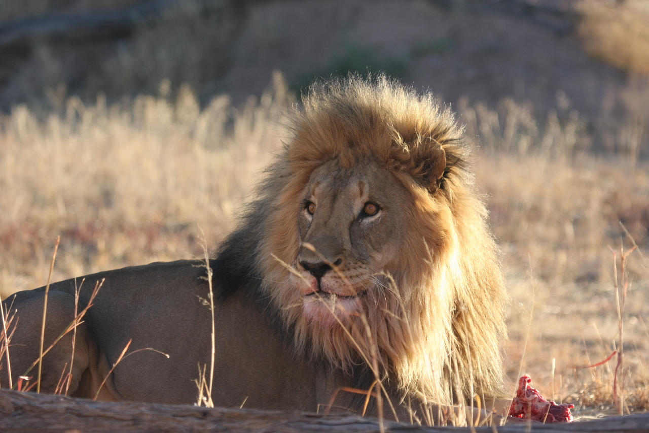 [7791] 2016_06_23_11_46_00_Africa_Canon_EOS_40D_IMG__01041.jpg