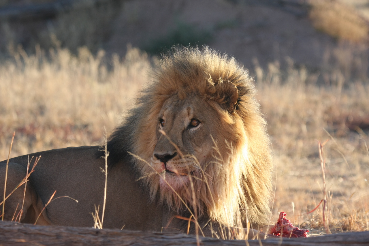[7800] 2016_06_23_11_46_01_Africa_Canon_EOS_40D_IMG__01877.jpg