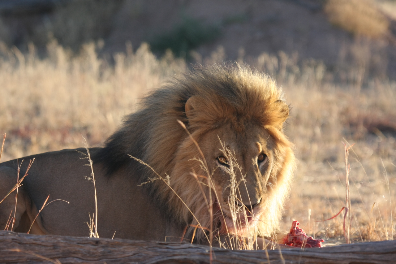 [7804] 2016_06_23_11_46_02_Africa_Canon_EOS_40D_IMG__01046.jpg