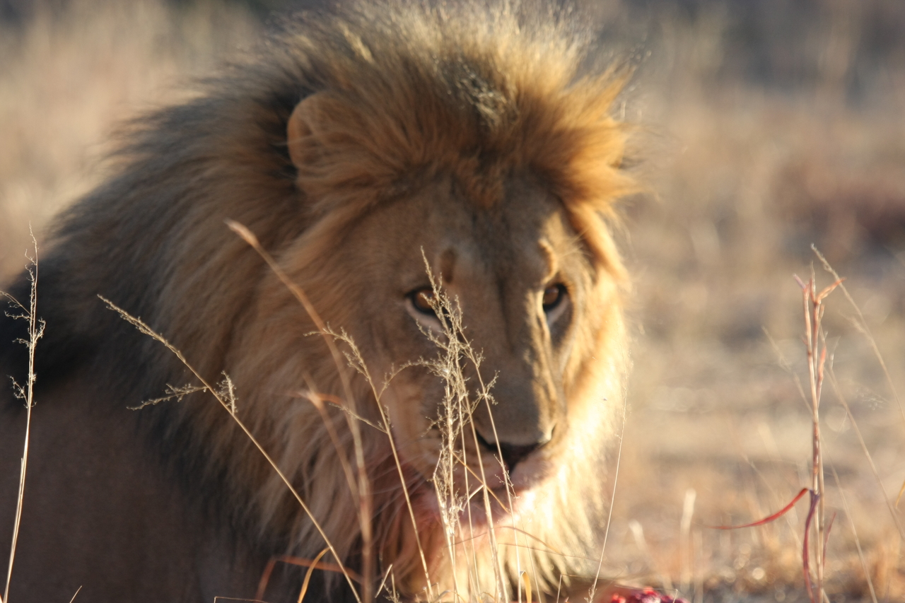 [7863] 2016_06_23_11_46_25_Africa_Canon_EOS_40D_IMG__09339.jpg