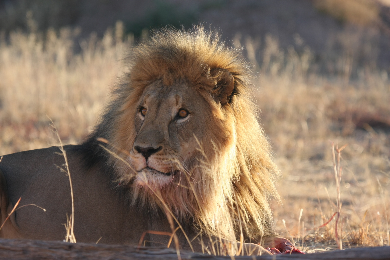 [7880] 2016_06_23_11_47_21_Africa_Canon_EOS_40D_IMG__01899.jpg