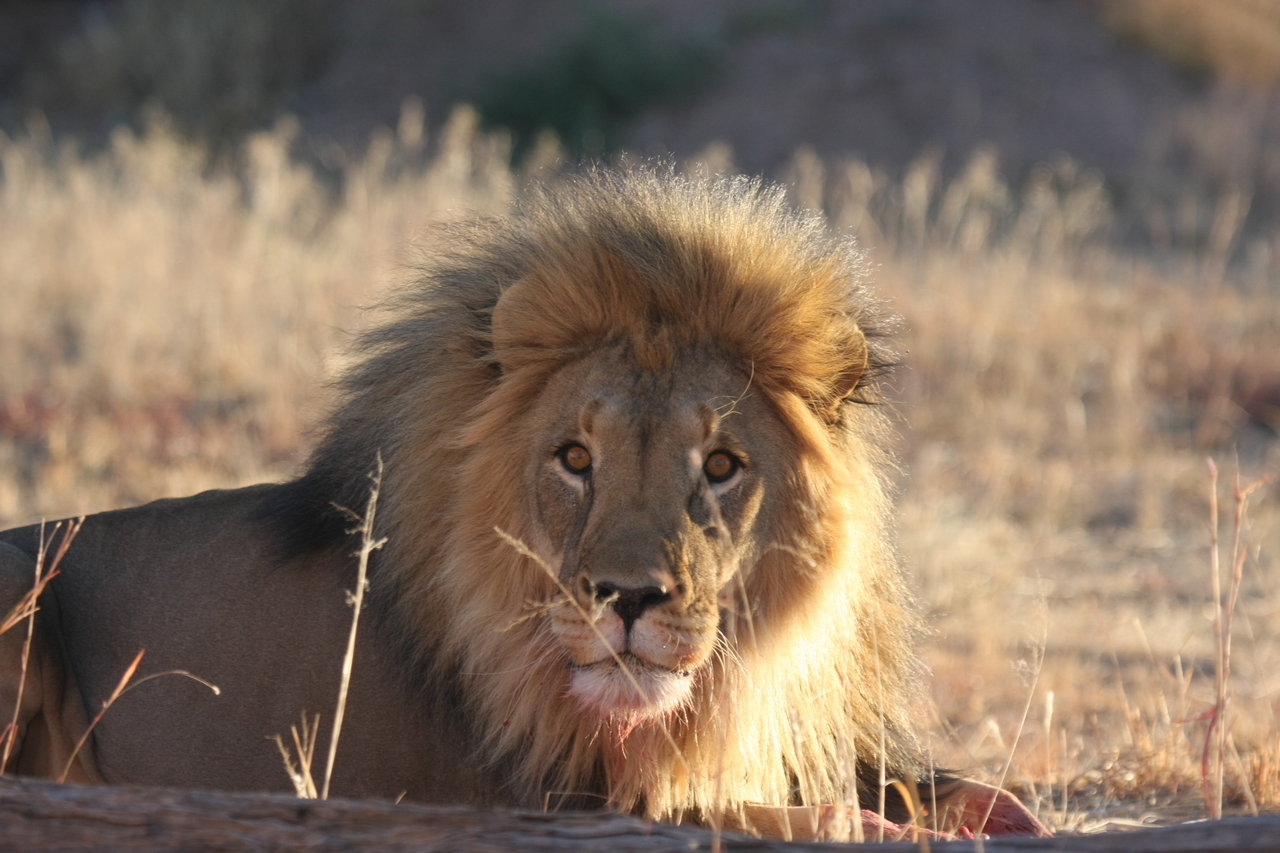 [7895] 2016_06_23_11_47_29_Africa_Canon_EOS_40D_IMG__01072.jpg