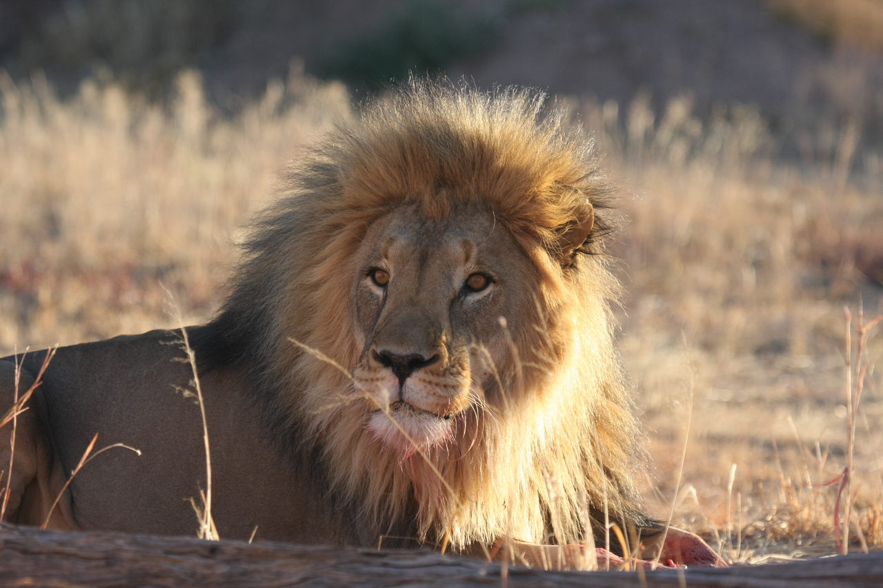 [7900] 2016_06_23_11_47_29_Africa_Canon_EOS_40D_IMG__09351.jpg