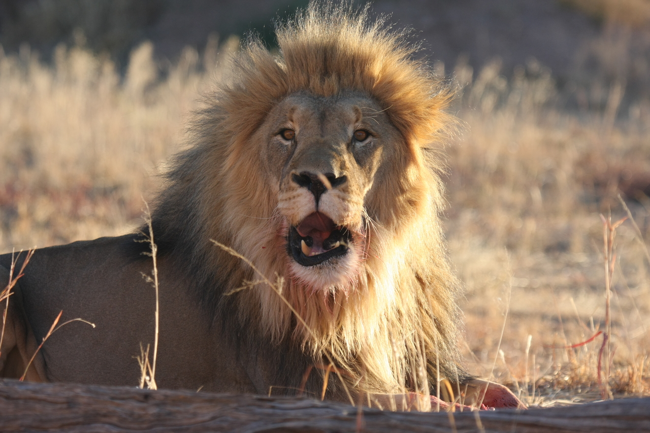 [7916] 2016_06_23_11_47_31_Africa_Canon_EOS_40D_IMG__01912.jpg