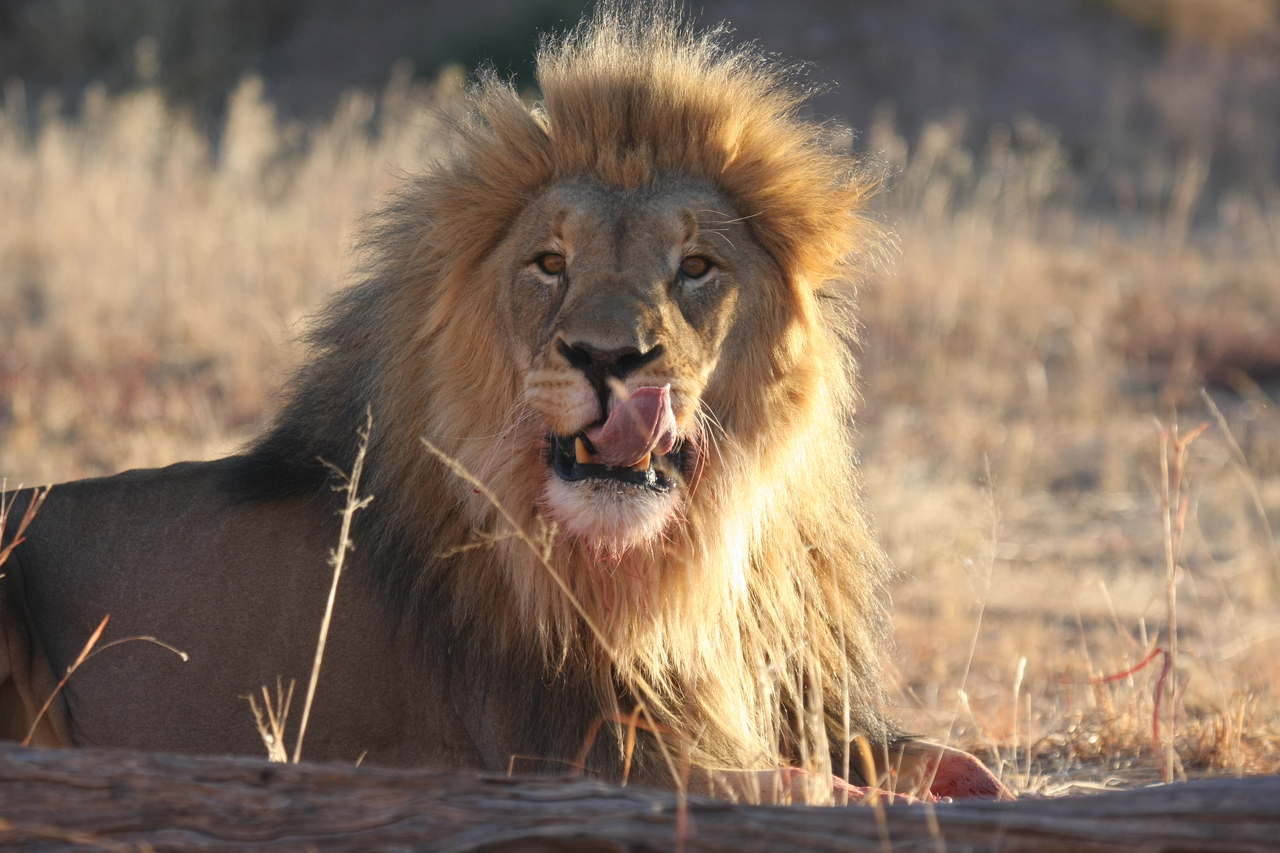 [7918] 2016_06_23_11_47_31_Africa_Canon_EOS_40D_IMG__09358.jpg
