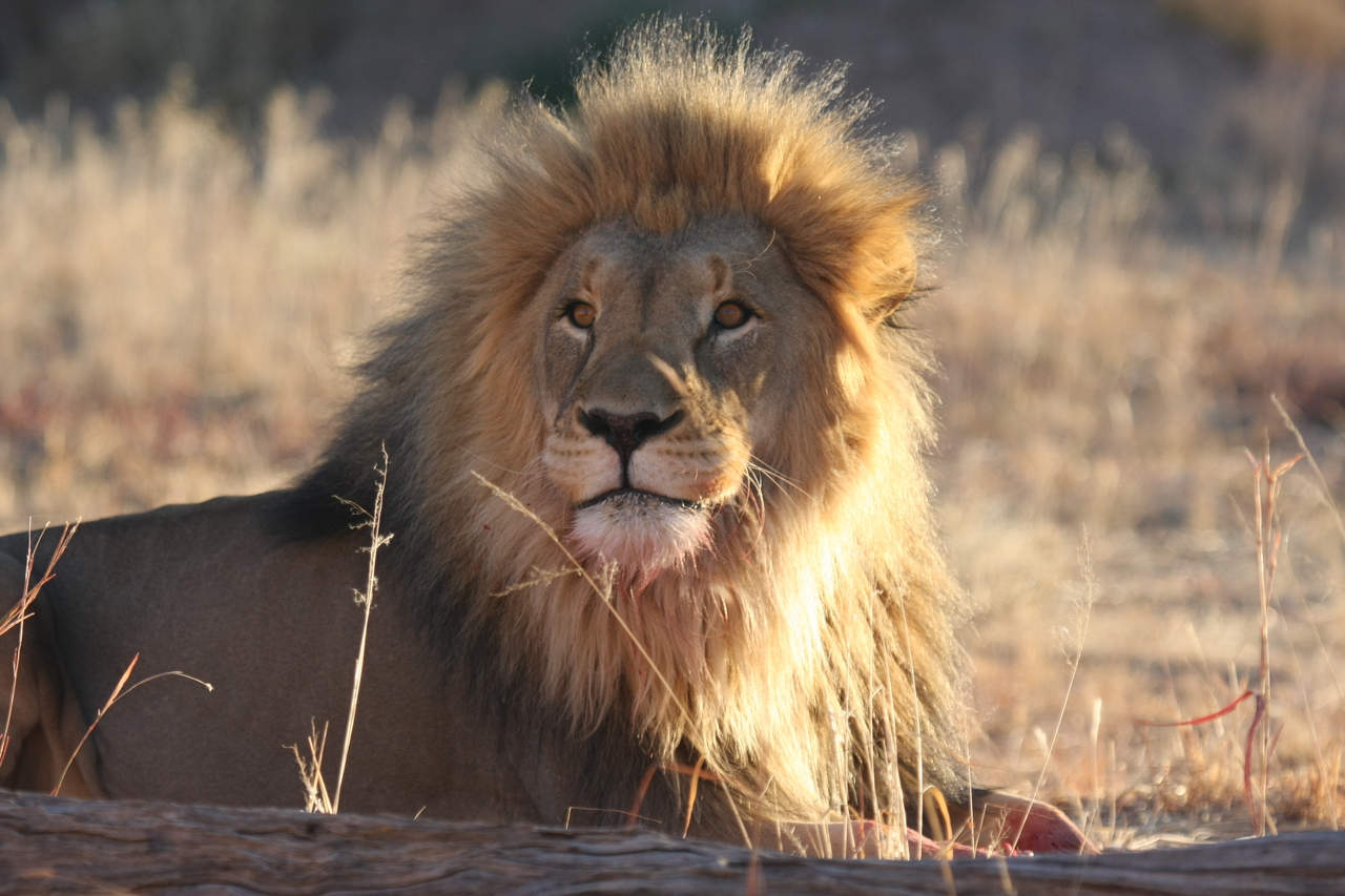 [7920] 2016_06_23_11_47_31_Africa_Canon_EOS_40D_IMG__09360.jpg