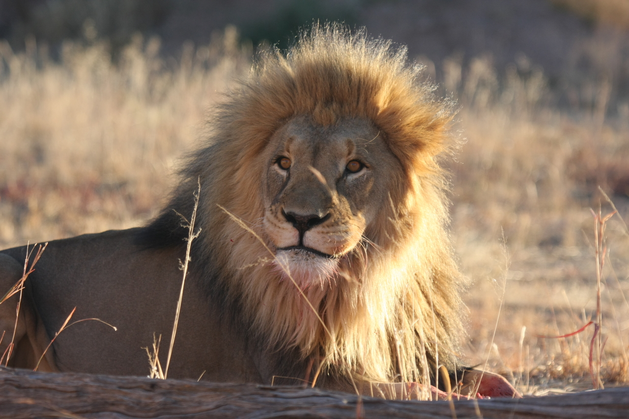 [7926] 2016_06_23_11_47_32_Africa_Canon_EOS_40D_IMG__01917.jpg