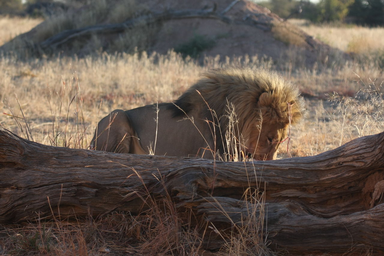 [7950] 2016_06_23_11_48_08_Africa_Canon_EOS_40D_IMG__01924.jpg