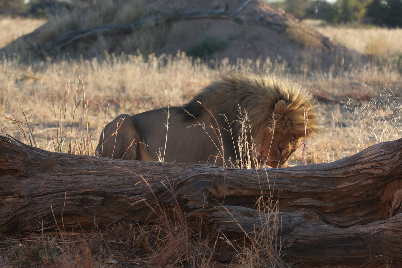 [7951] 2016_06_23_11_48_08_Africa_Canon_EOS_40D_IMG__01925.jpg