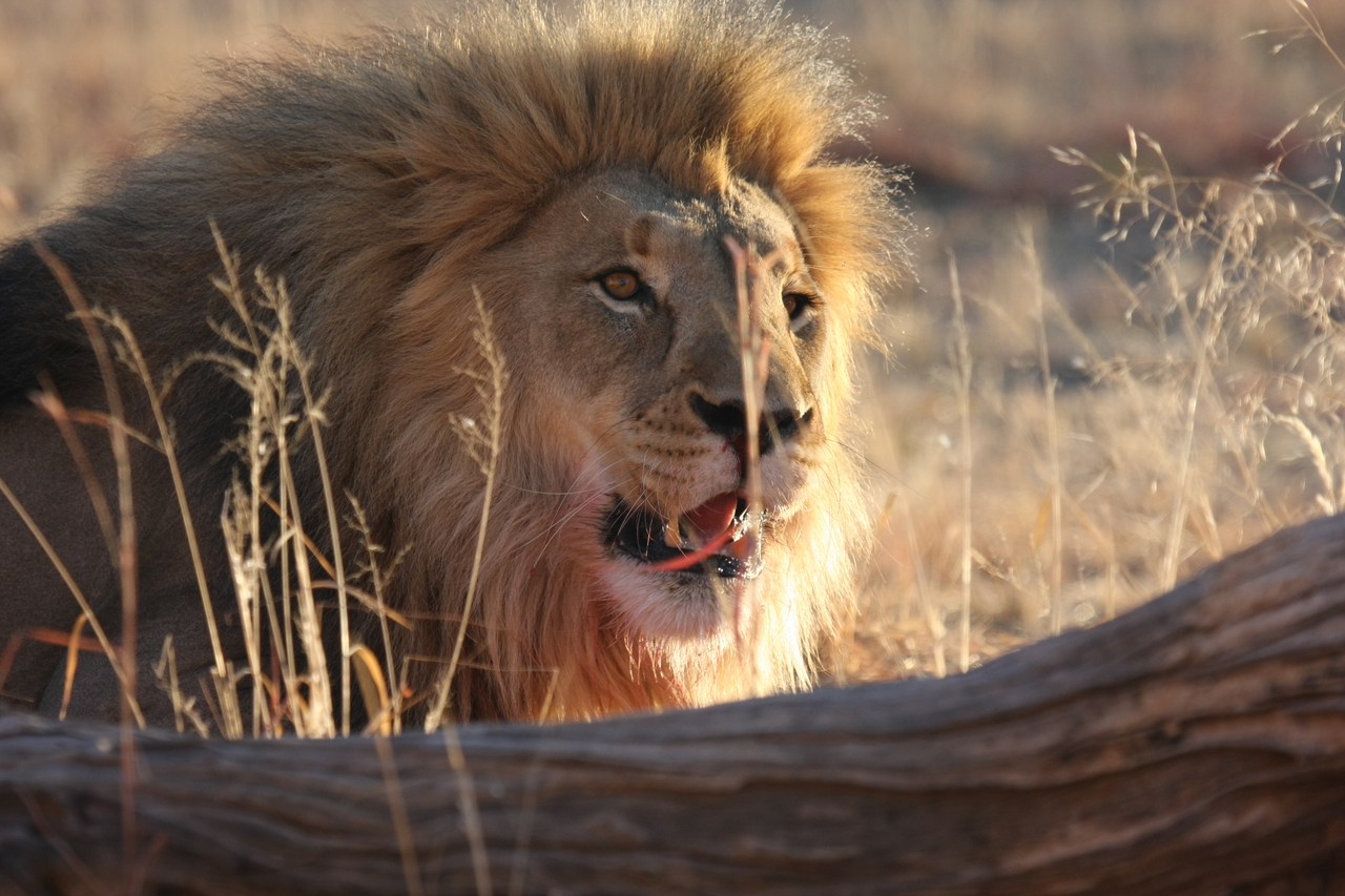 [7982] 2016_06_23_11_48_44_Africa_Canon_EOS_40D_IMG__00764.jpg