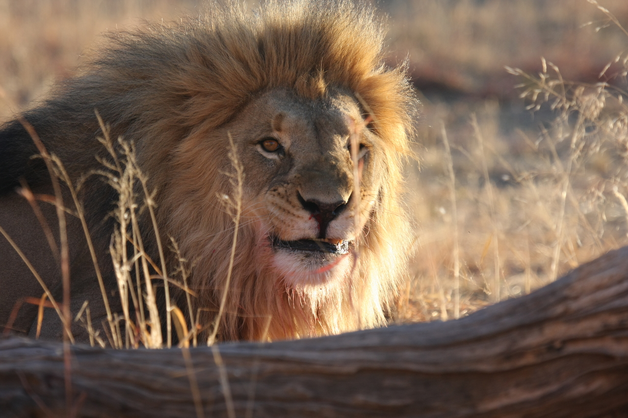 [8007] 2016_06_23_11_48_46_Africa_Canon_EOS_40D_IMG__09053.jpg